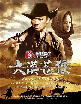 大漠苍狼 第31集