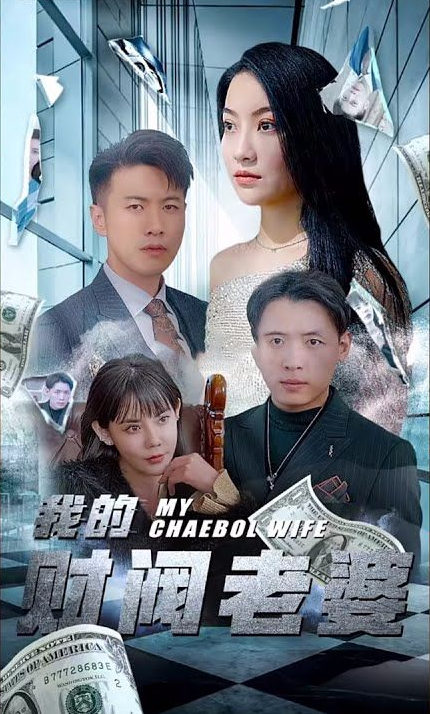 我的财阀老婆 第40集