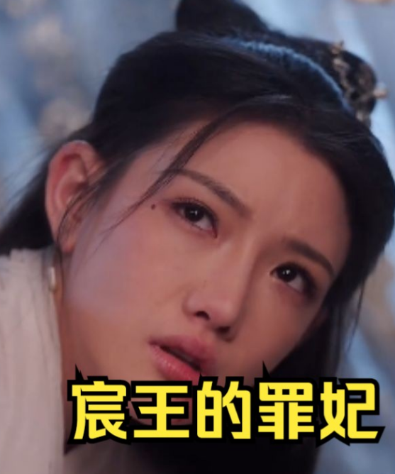 宸王的罪妃 第08集