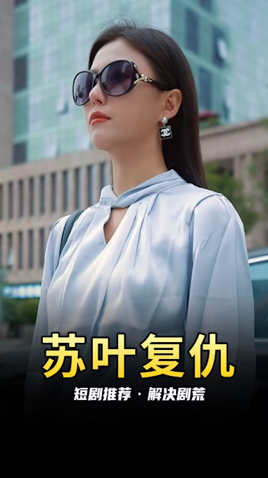 苏叶的复仇 第04集