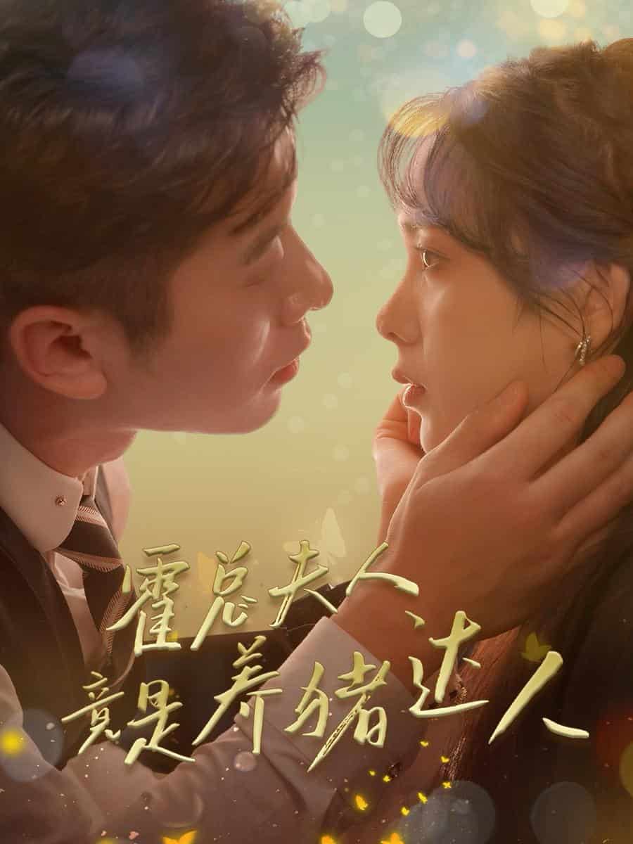 霍总夫人竟是养猪达人 第24集