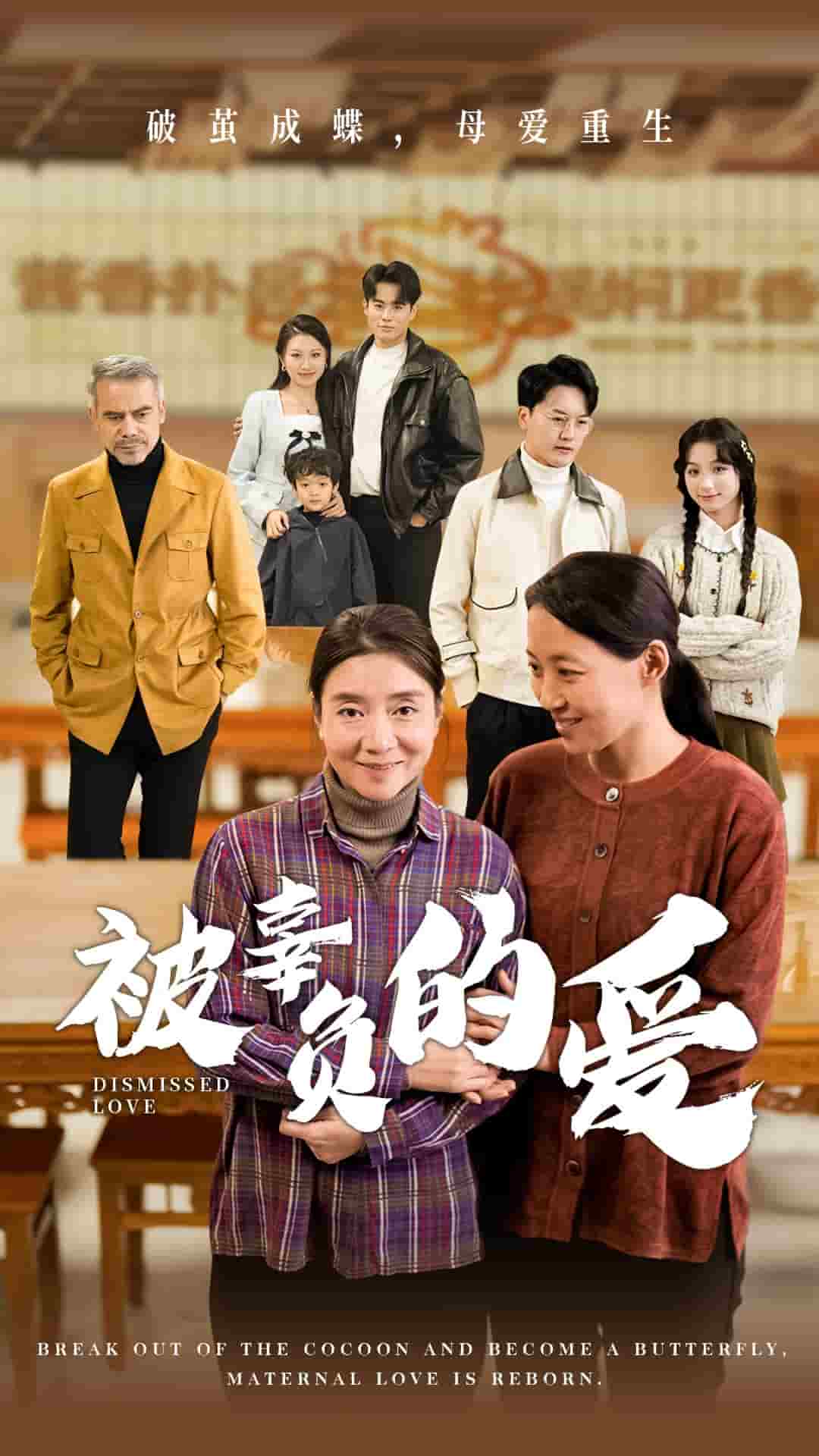 被辜负的爱 第49集