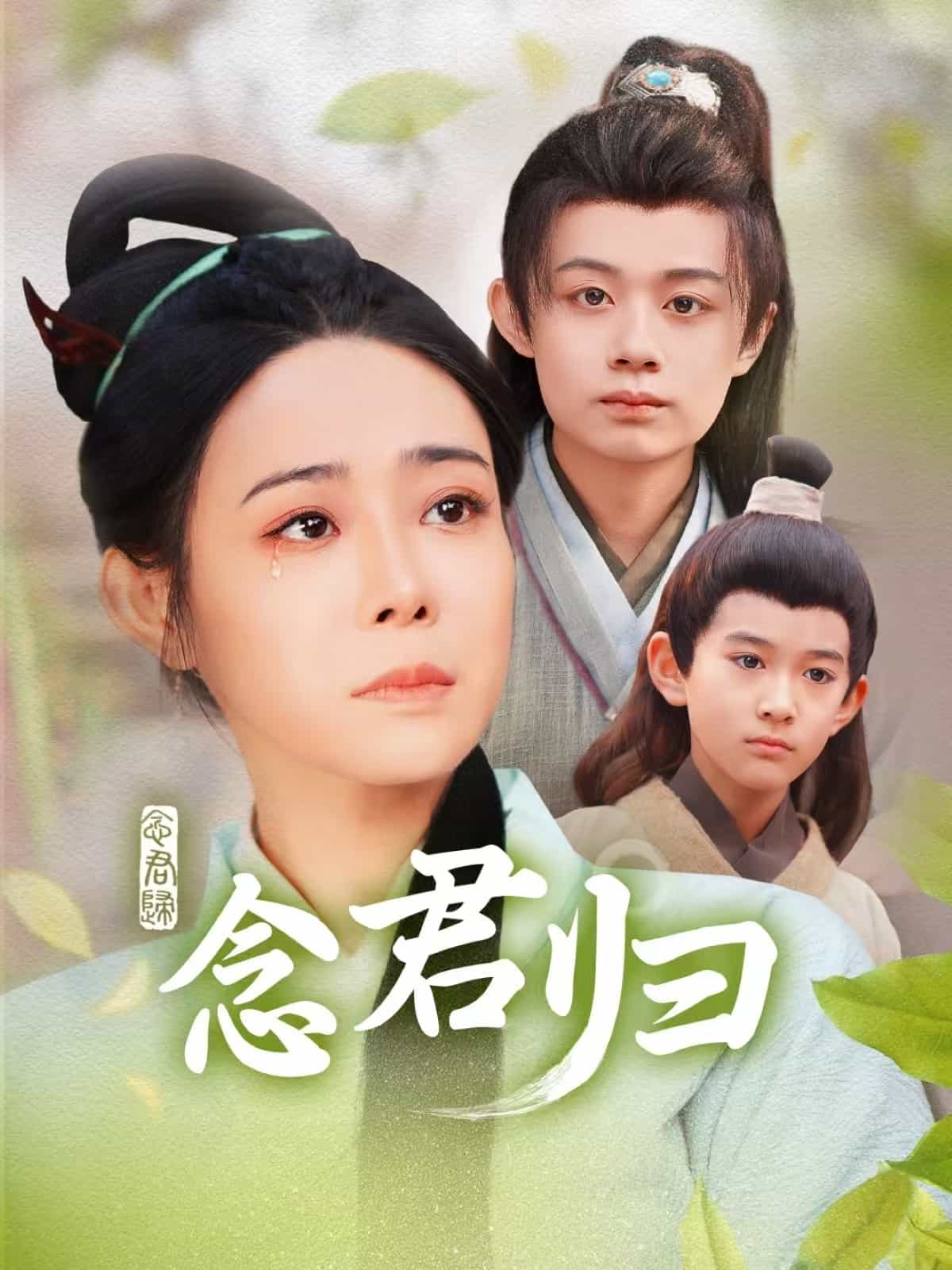 念君归 第45集