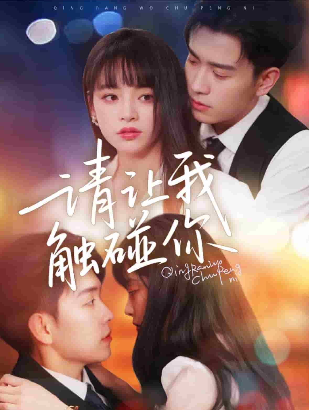 请让我触碰你 第41集