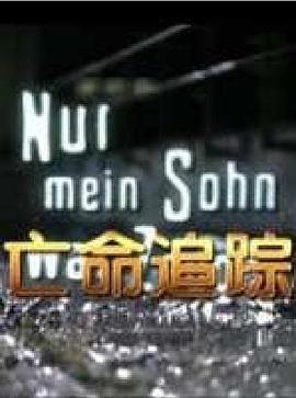 亡命追踪 HD中字