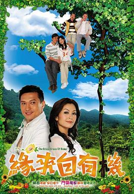 缘来自有机国语 第19集