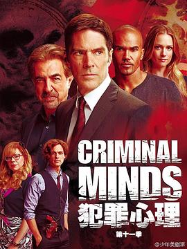犯罪心理第十一季 第12集