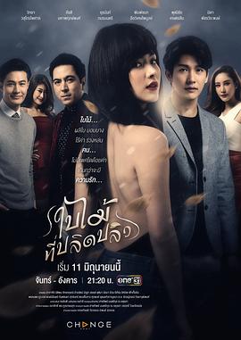 吹落的树叶 第07集