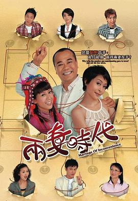 两妻时代粤语 第07集