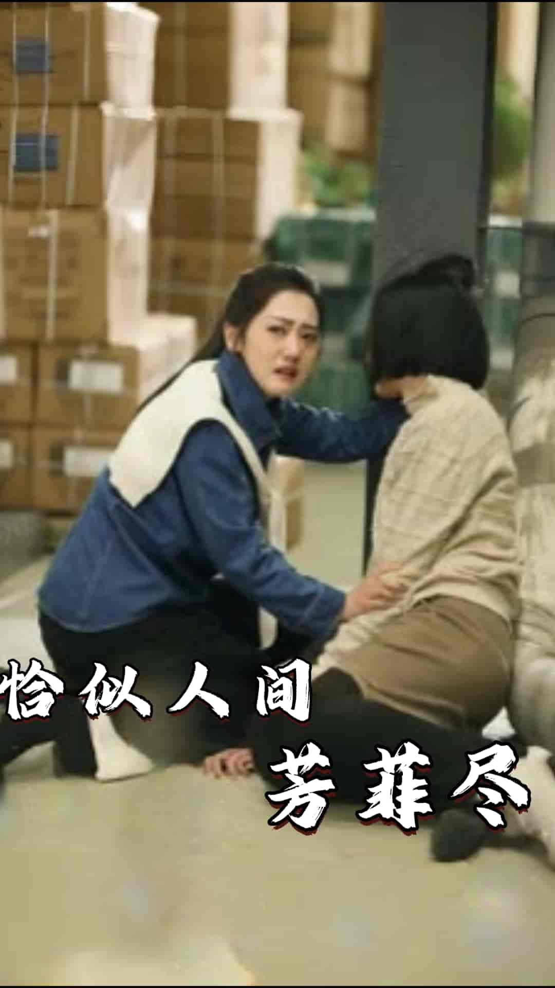 恰似人间芳菲尽 第09集