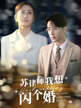 苏律师我想闪个婚 第51集