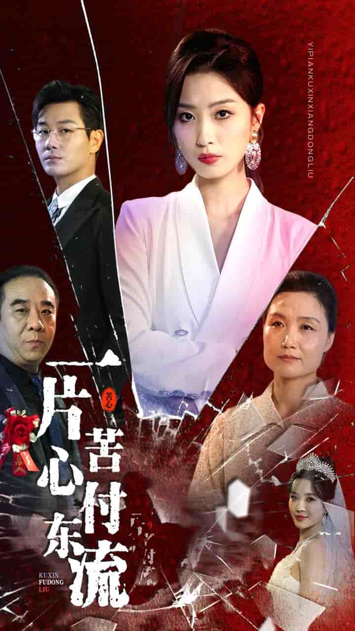 一片苦心付东流 第16集