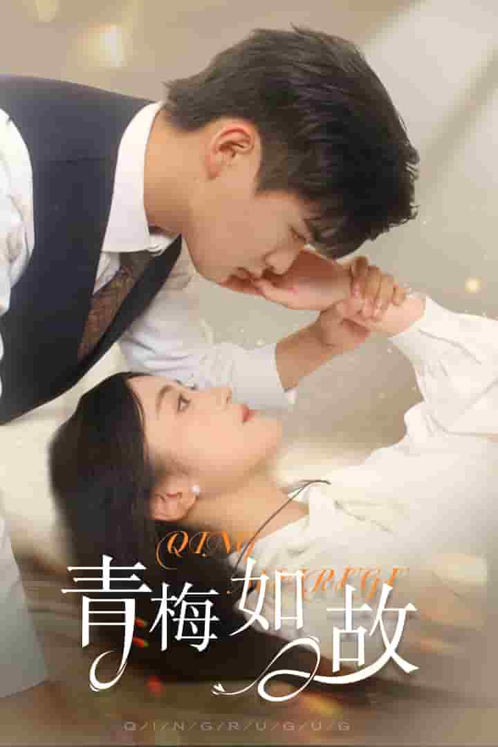 青梅如故 第22集