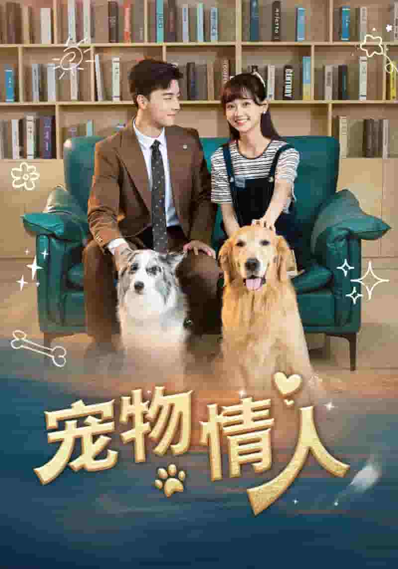 宠物情人短剧版 第27集