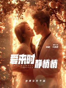 爱来时静悄悄 第41集