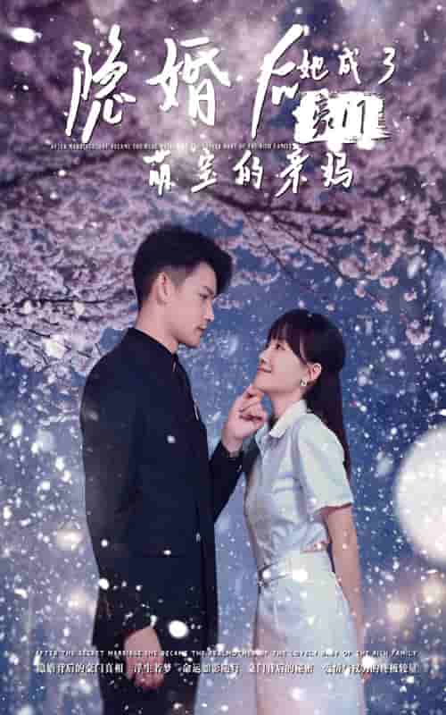 隐婚后，她成了豪门萌宝的亲妈 第29集
