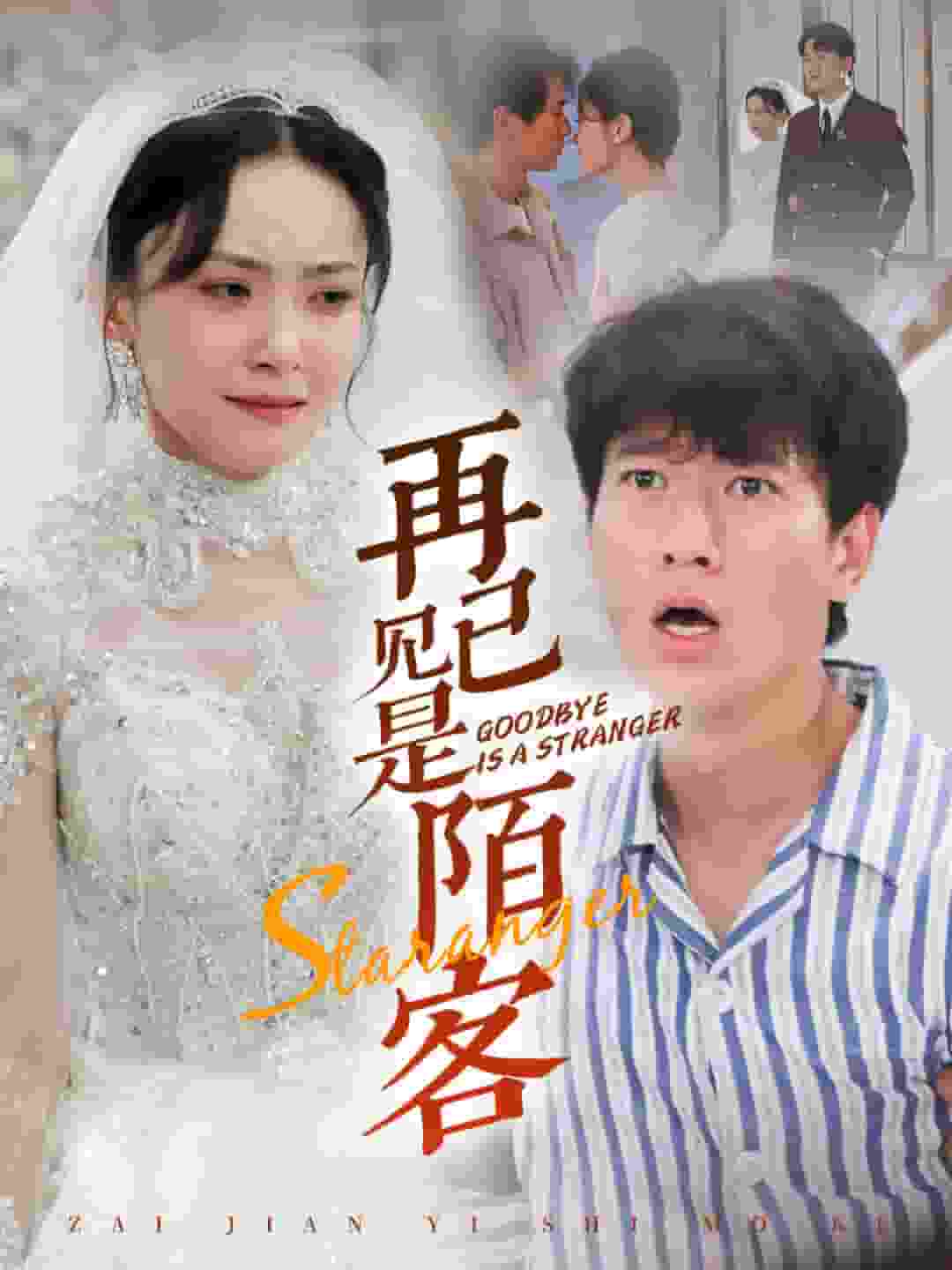 再见已是陌客 第04集