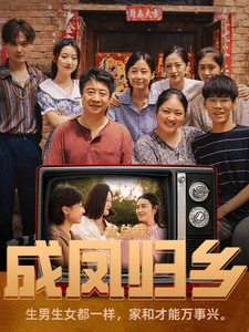 女总裁成凤归乡 第01集