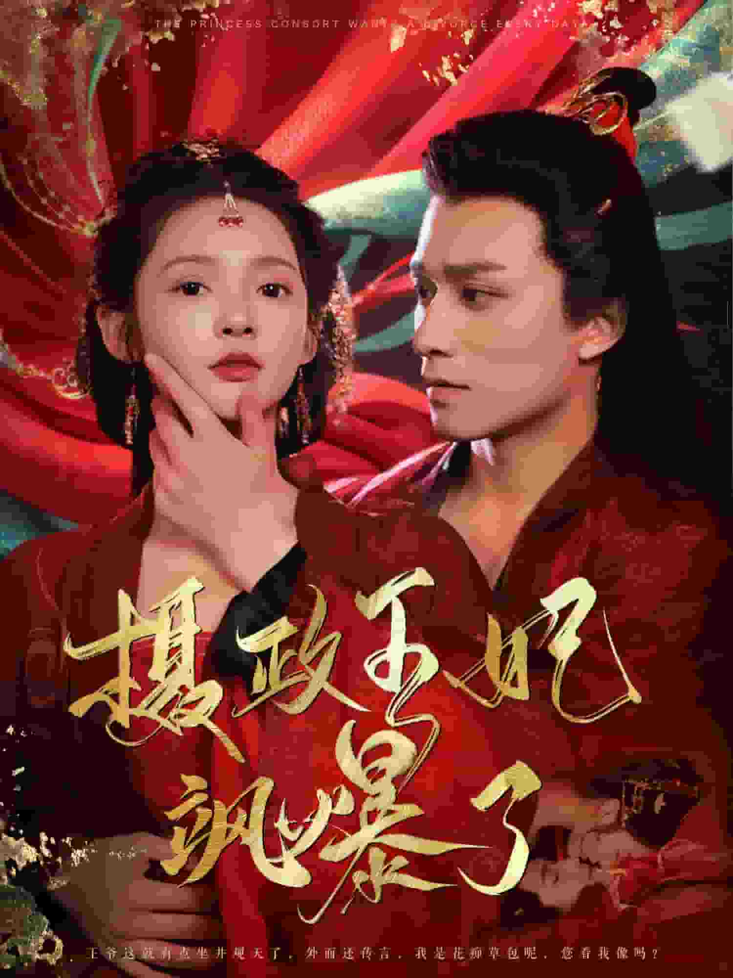 摄政王妃飒爆了 第41集