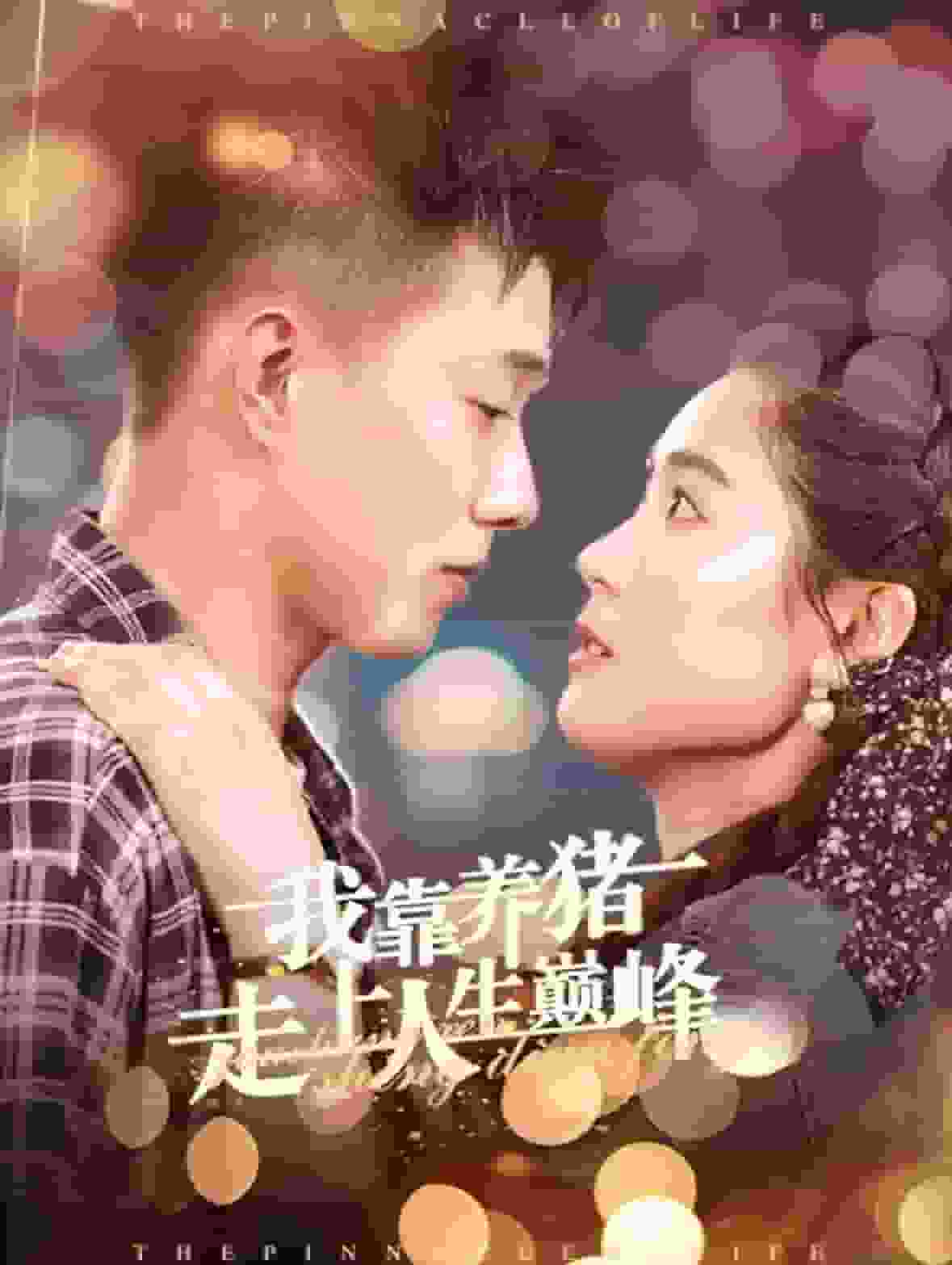 我靠养猪走上人生巅峰 第02集