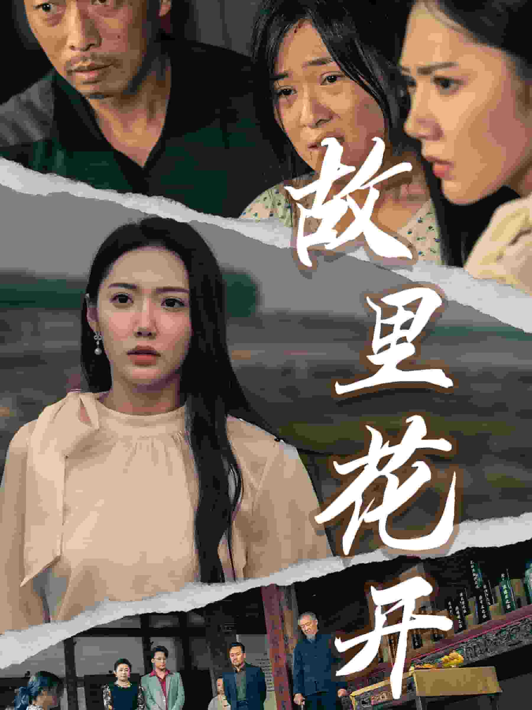 故里花开 第21集