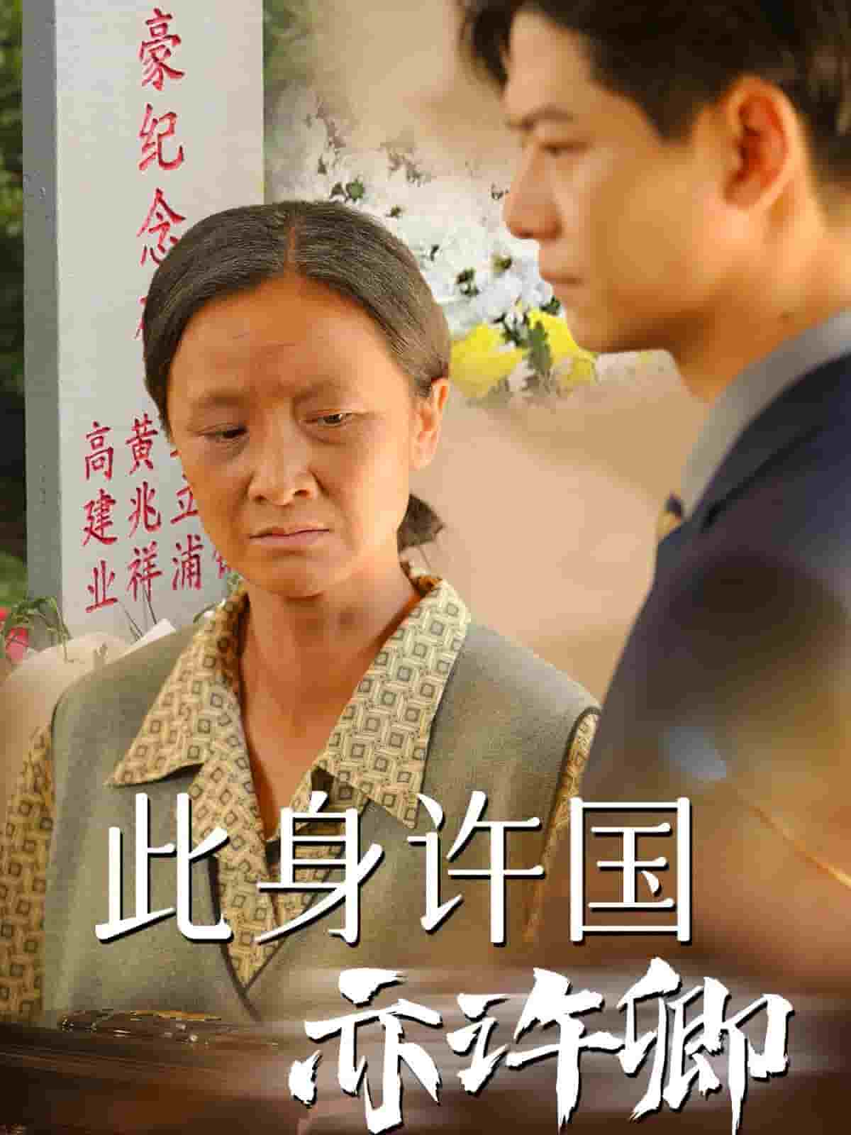 此身许国亦许卿 第35集