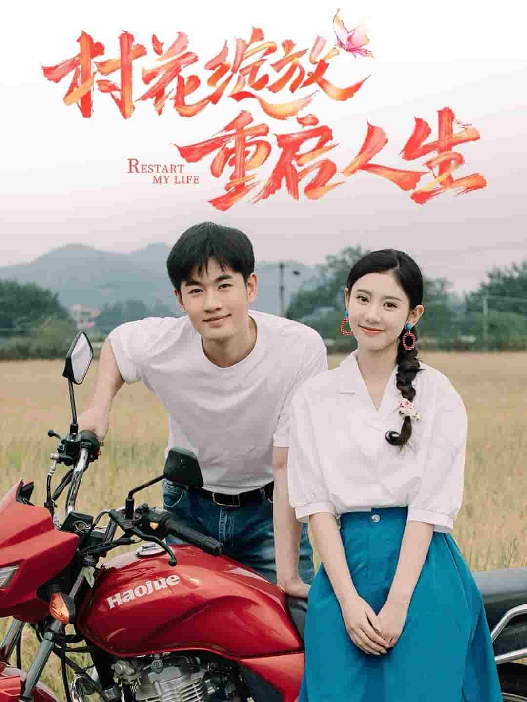 村花绽放重启人生 第17集