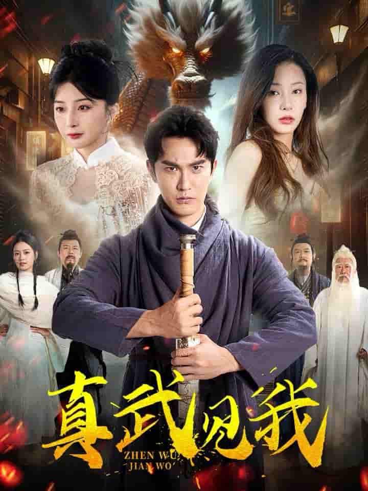 真武见我 第35集