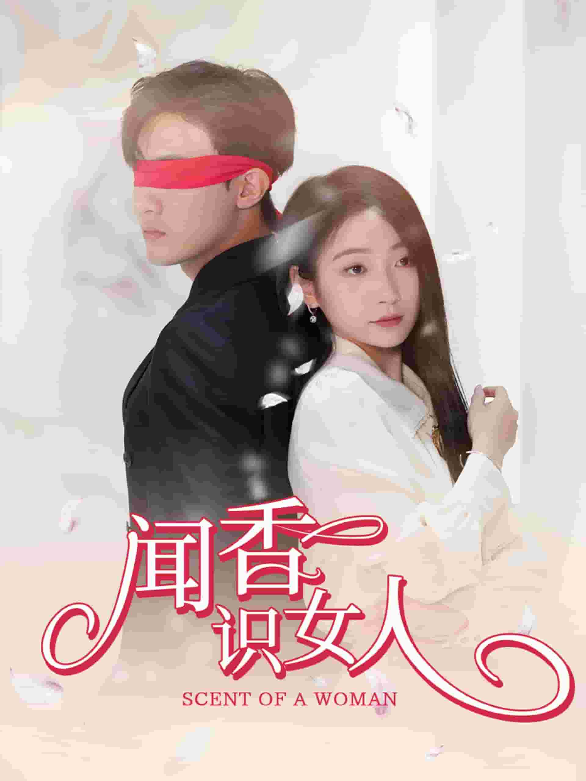 闻香识女人 短剧版 第32集