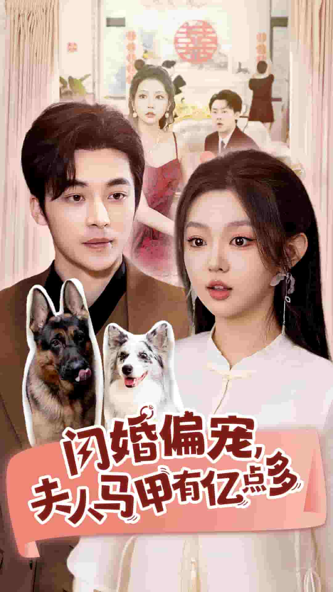 闪婚偏宠夫人马甲有亿点多 第12集
