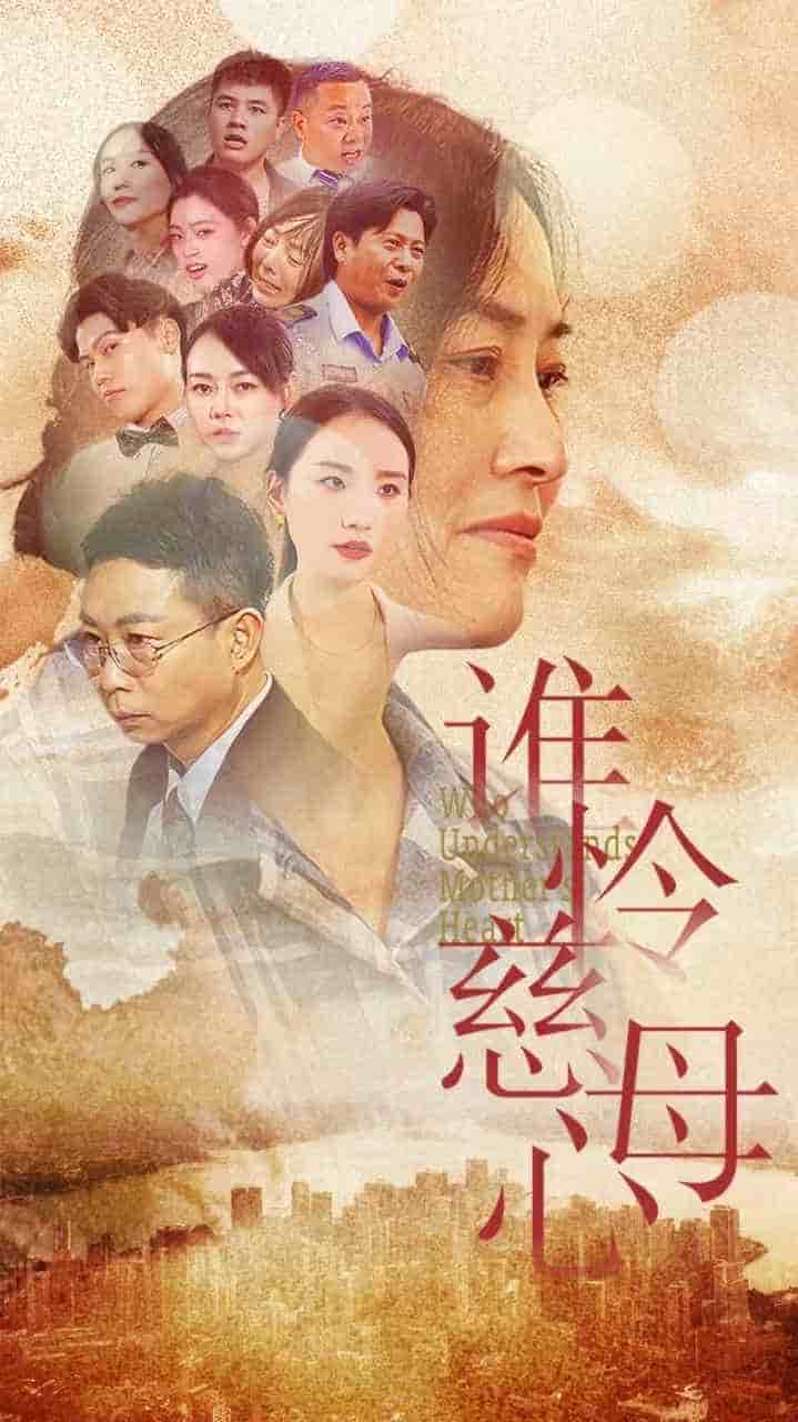 谁怜慈母心 第26集