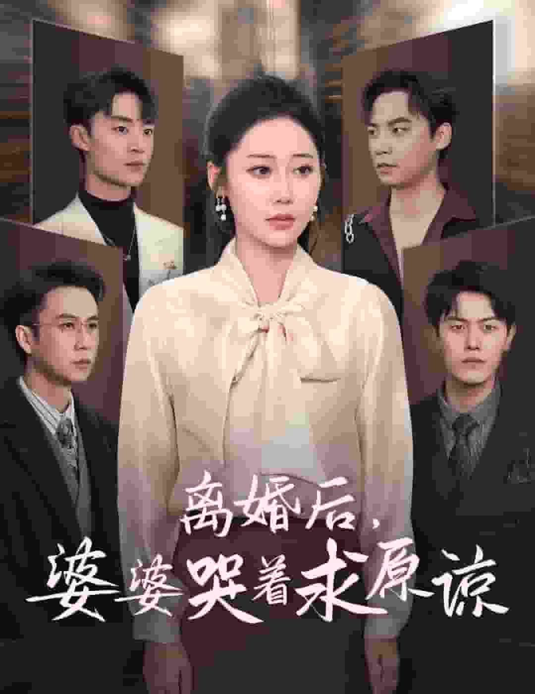 离婚后婆婆哭着求原谅 第04集
