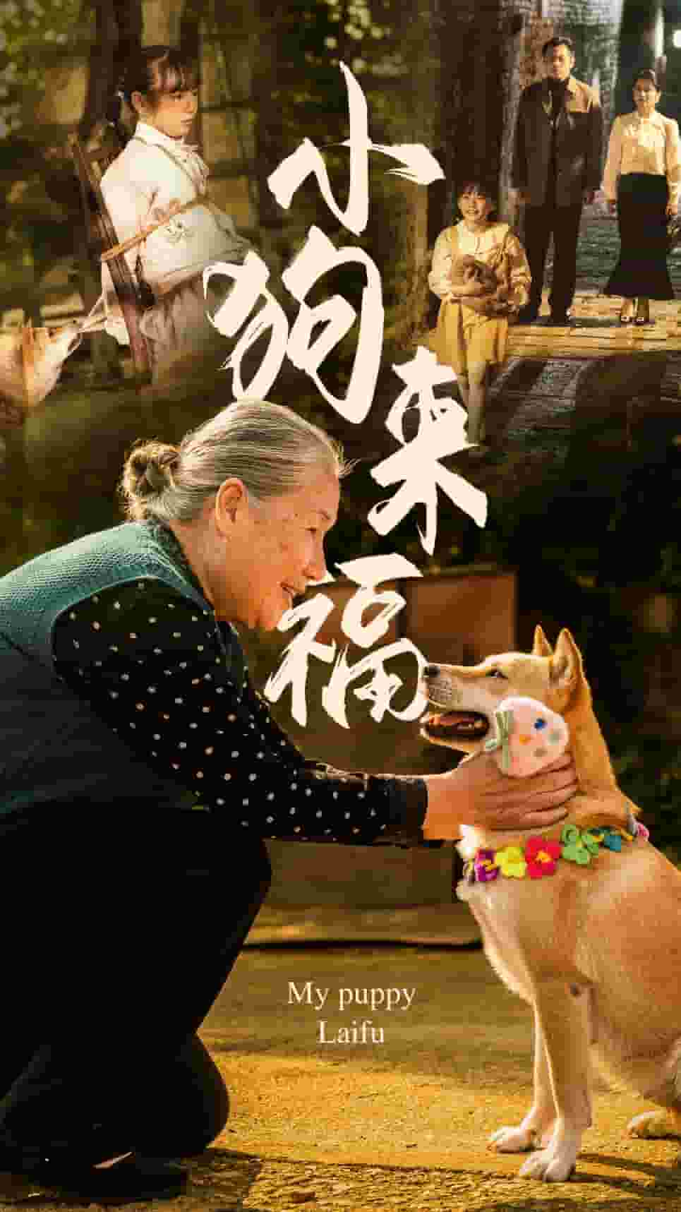 小狗来福 第20集