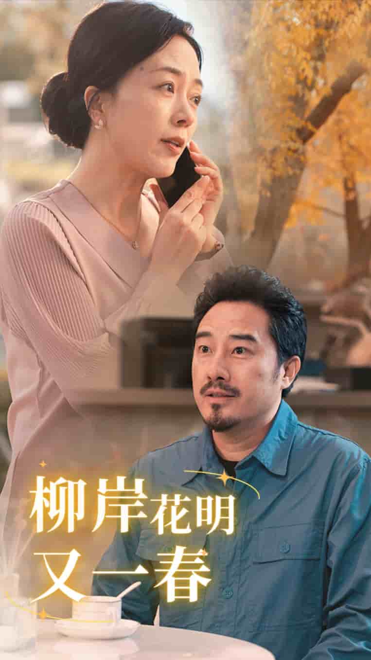 柳暗花明又一春 第27集