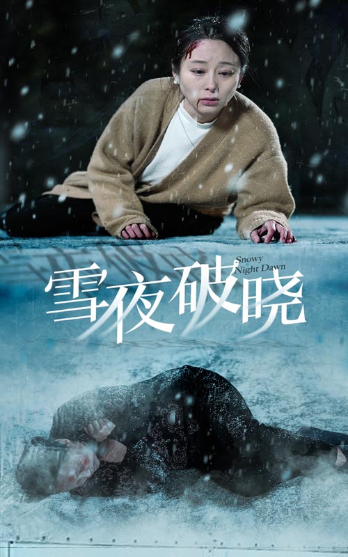 雪夜破晓 第20集