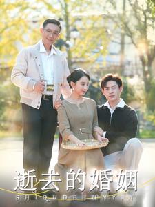 逝去的婚姻 第09集