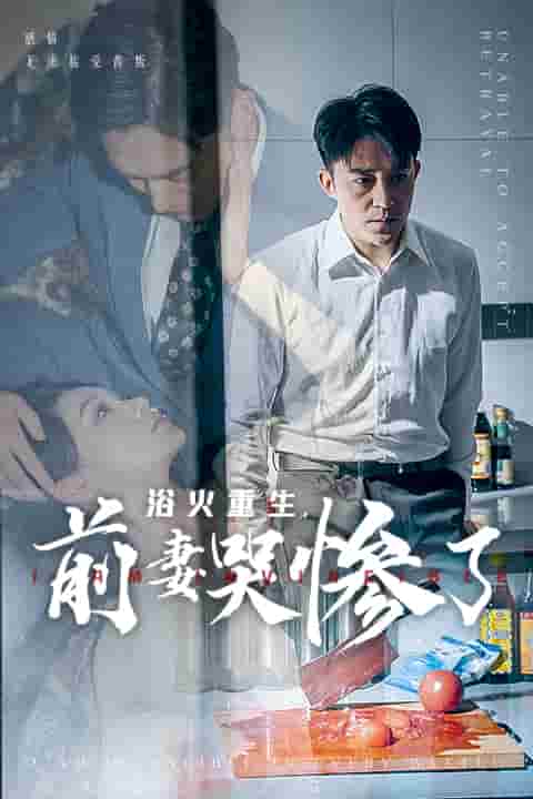 浴火重生，前妻哭惨了 第06集