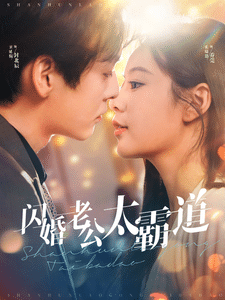 闪婚老公太霸道 第19集
