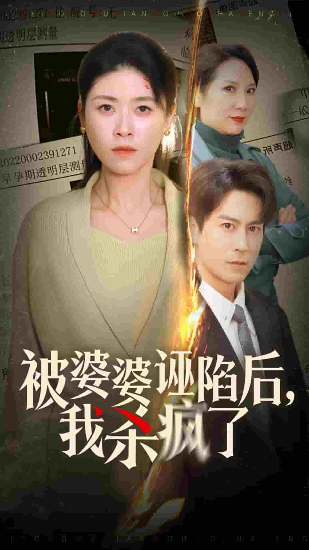 被婆婆诬陷后我杀疯了 第22集