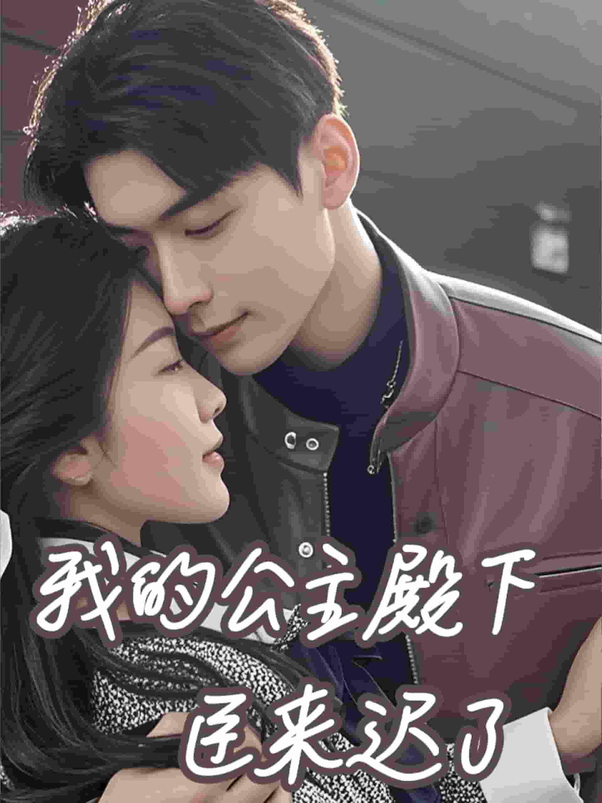 我的公主殿下臣来迟了 第34集
