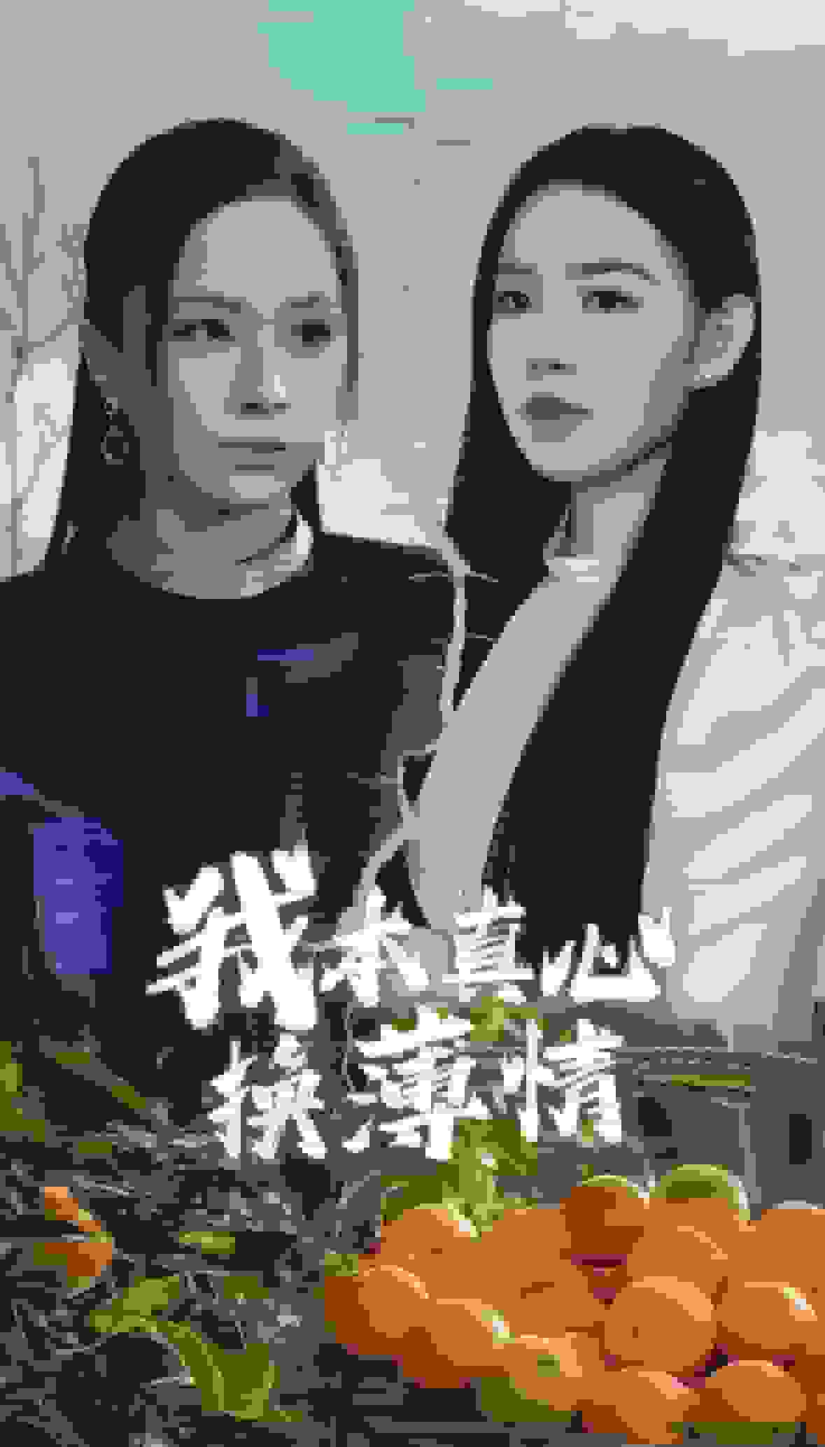 我本真心换薄情 第40集