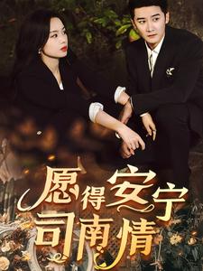 愿得安宁司南情 第24集