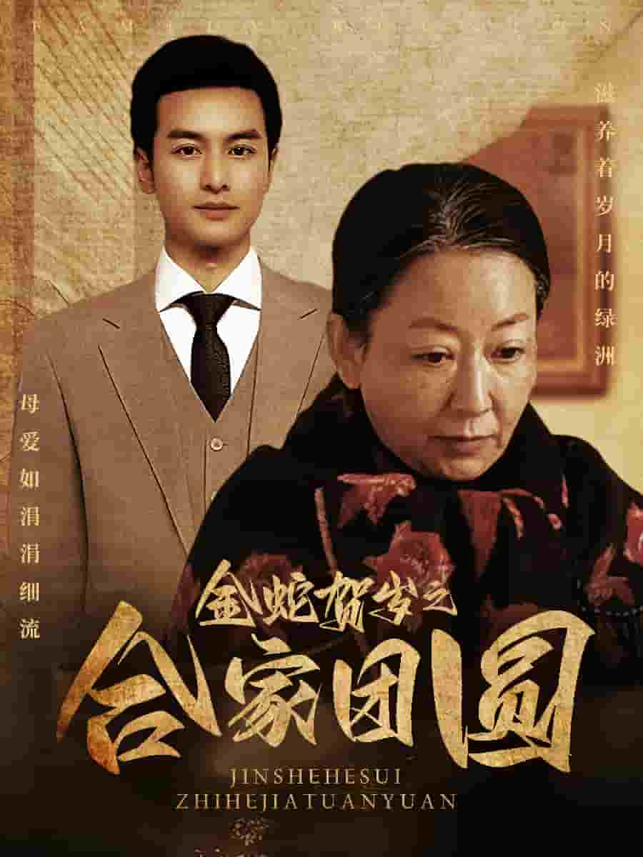 金蛇贺岁之合家团圆 第4集