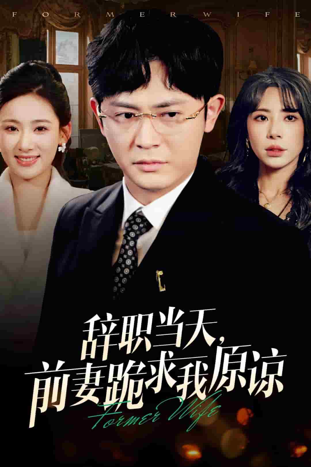 辞职当天前妻哭着求我原谅 第9集