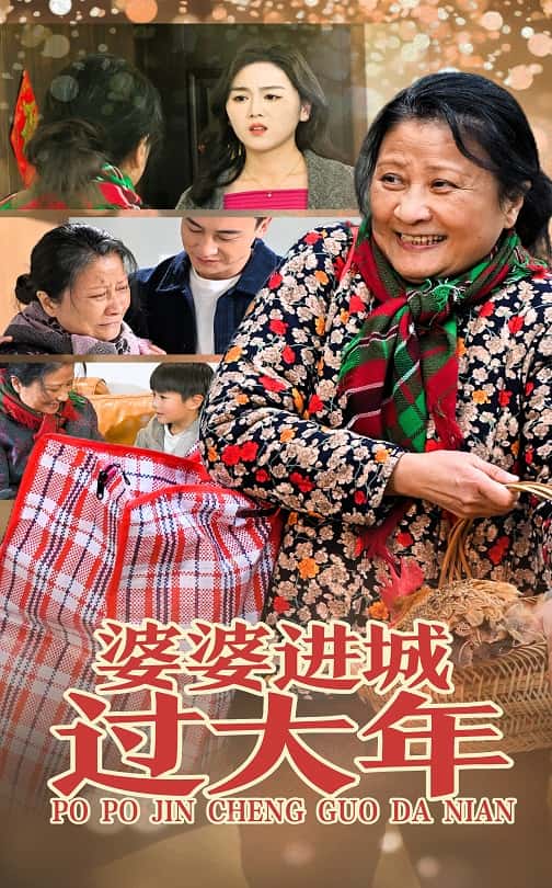 婆婆进城过大年 第3集