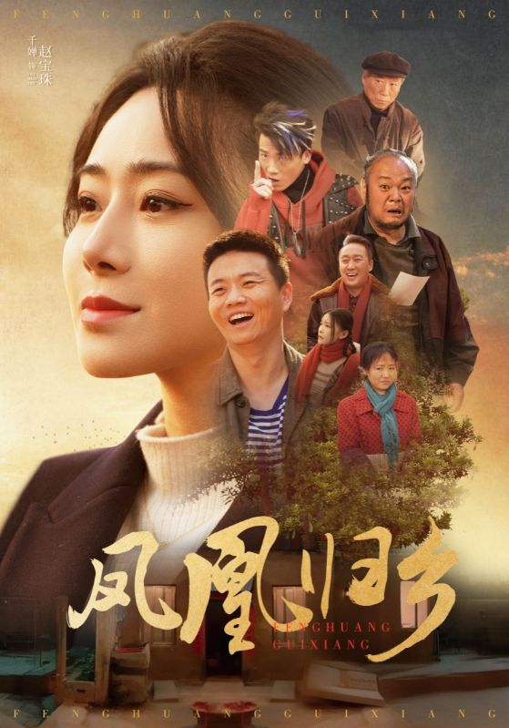 凤凰归乡 第03集
