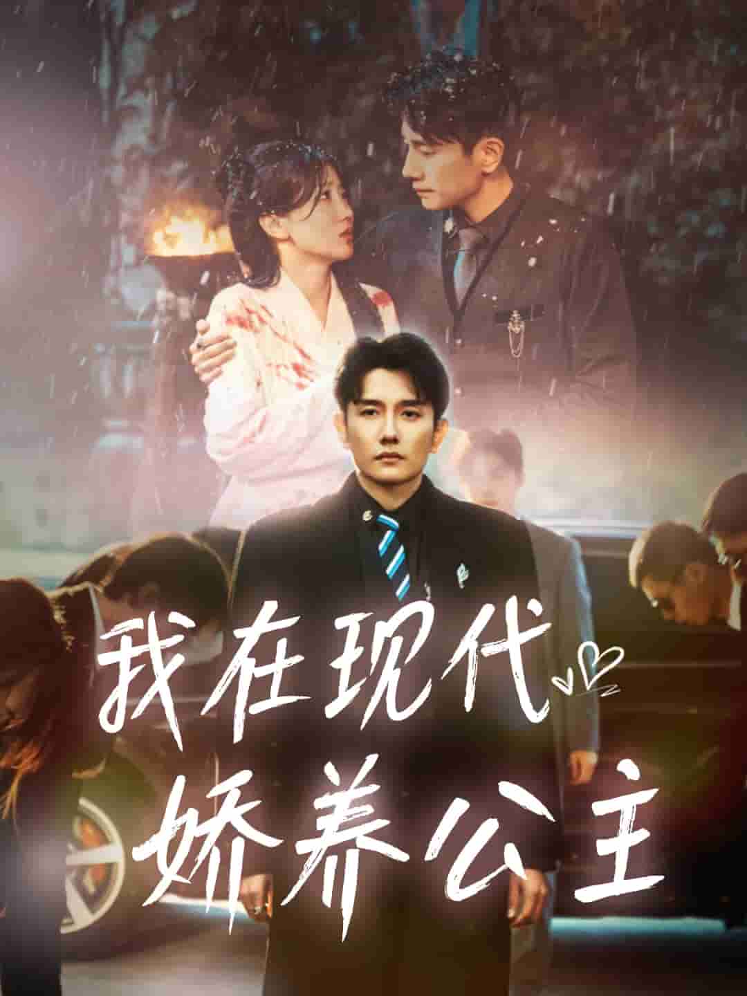 我在现代娇养公主 第38集