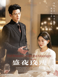 盛夜玫瑰 第41集