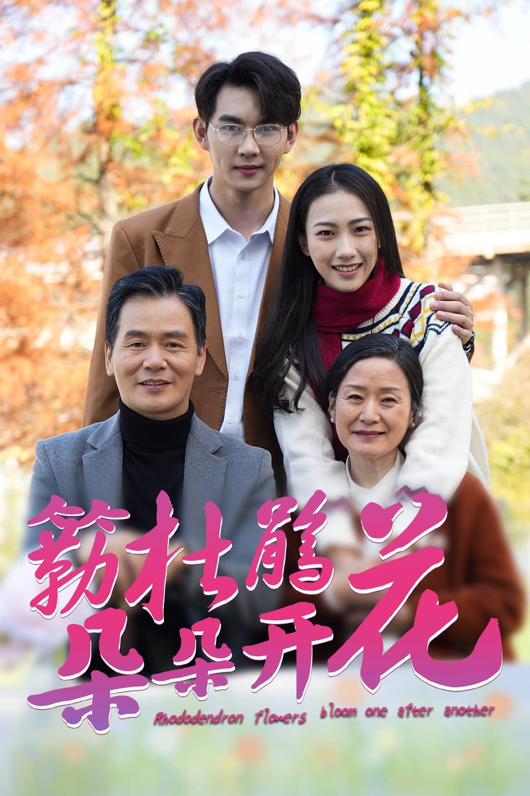 簕杜鹃花朵朵开 第32集