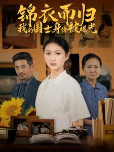 锦衣而归我的国士身份被曝光 第3集